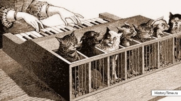 Кошачий клавесин