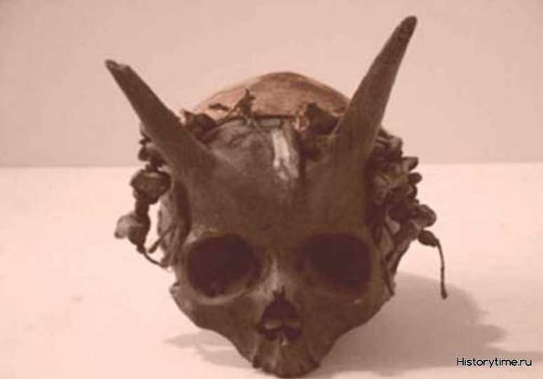Необычный череп