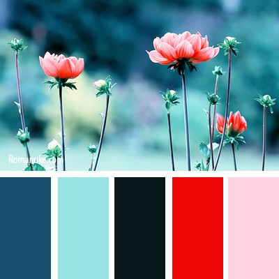 На цвет товарищей нет