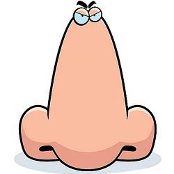 Заруби себе на носу